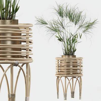 现代植物盆栽-21D1